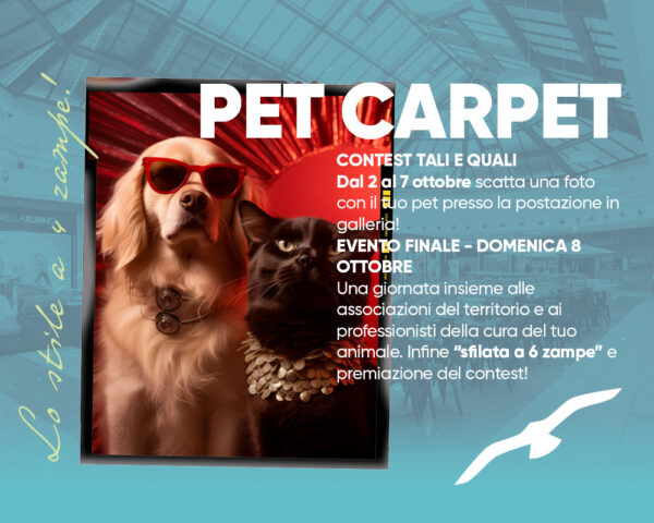 Pet Carpet